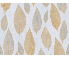 Obkladové panely do interiéru Vilo Motivo PD250 - Gold Magnolia