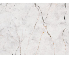Obkladové panely do interiéru Vilo - Motivo PD250 Classic - Gold Marble