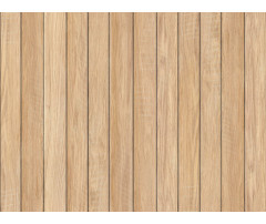 Obkladové panely do interiéru Vilo Motivo PD250 Modern - Natural Plank
