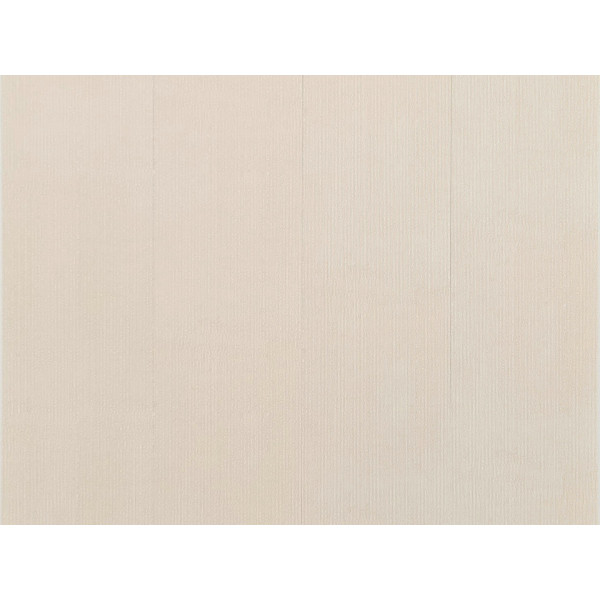 Obkladové panely do interiéru Motivo PQ250 Classic - Velvet Lines /0,25 x 2,70 m Obkladové panely do interiéru Motivo PQ250 Classic - Velvet Lines /0,25 x 2,70 m