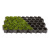 Zatravňovacia dlažba geoSYSTEM SE50 MAX - 600x395x50 mm /0,237 m2 Zatravňovacia dlažba geoSYSTEM SE50 MAX - 600x395x50 mm /0,237 m2